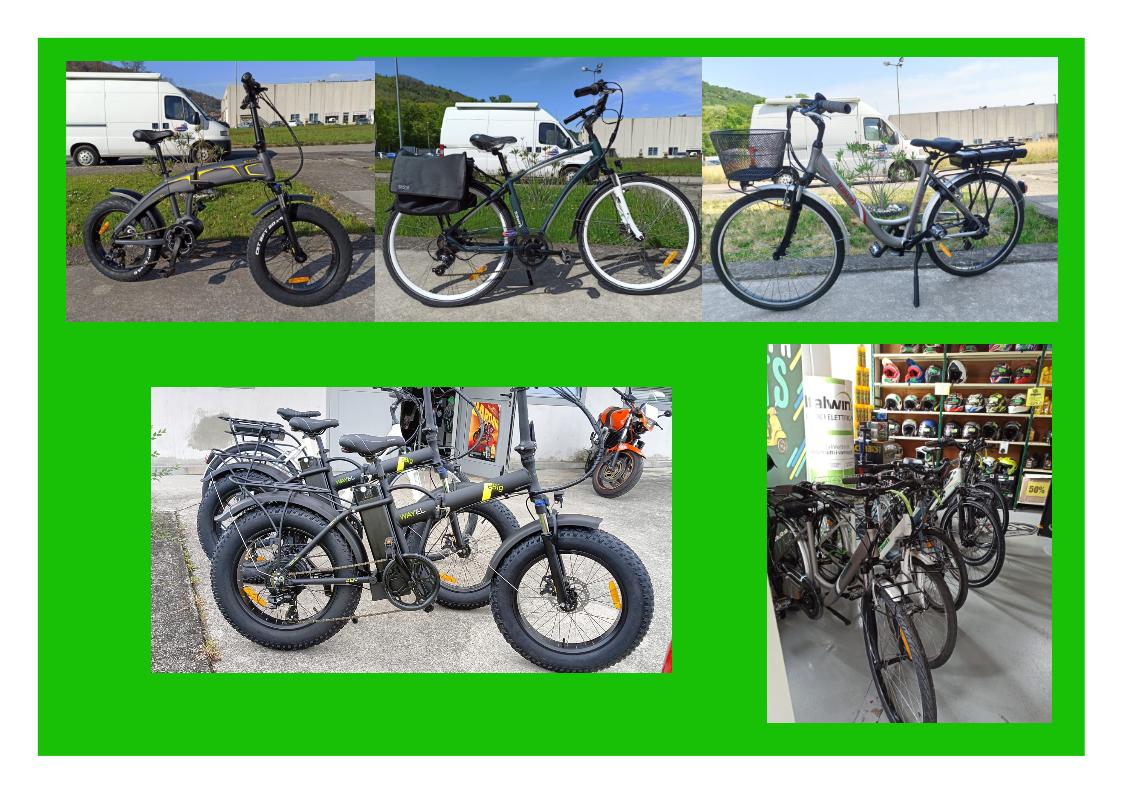 E-bike Italwin e Wayel