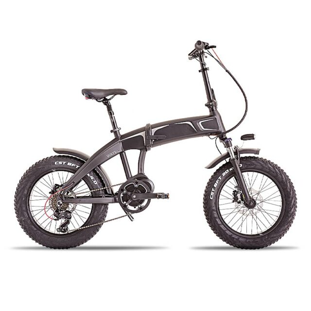 Next Sport